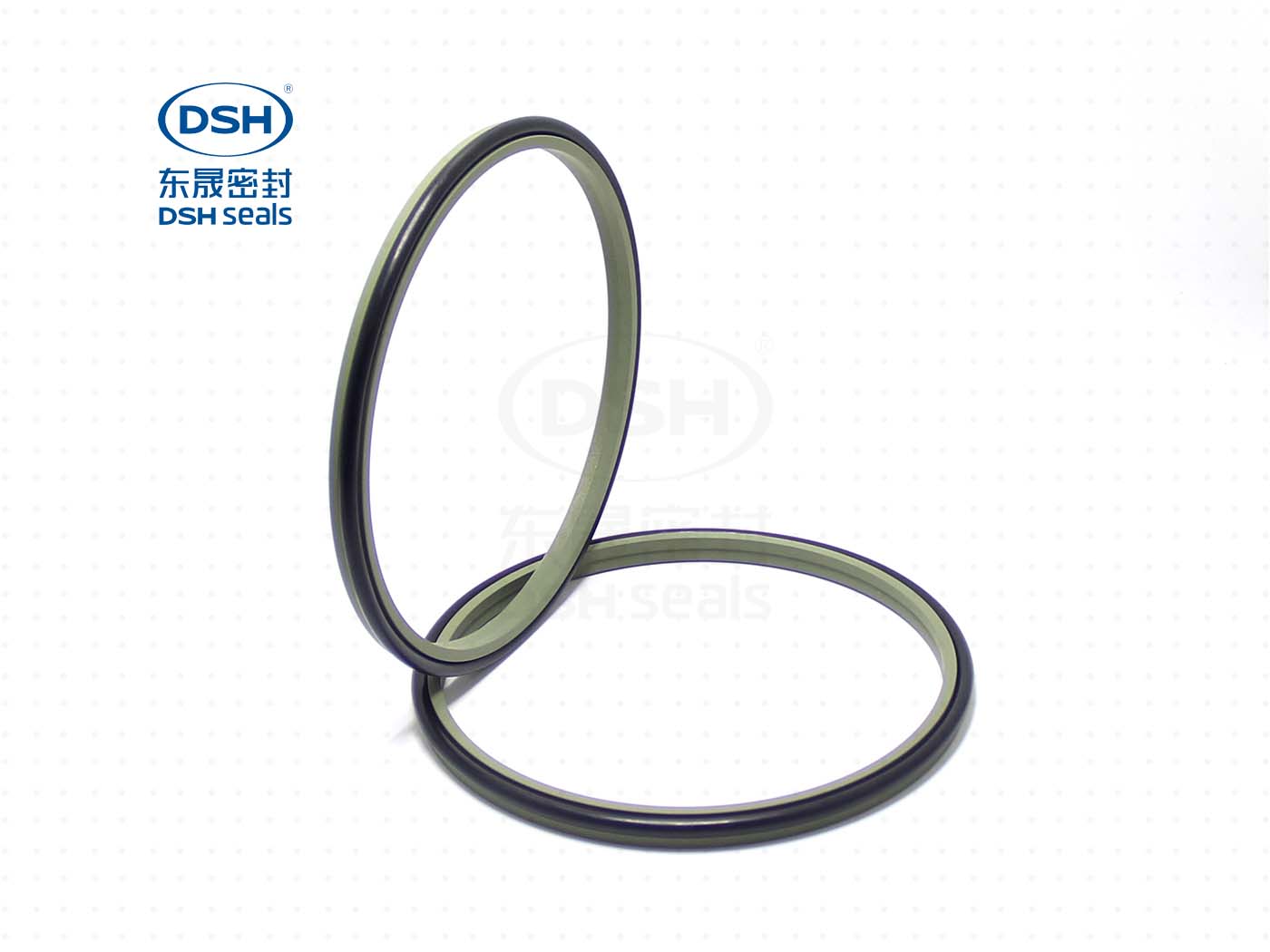 防塵油封DSZ 防塵油封DSZ