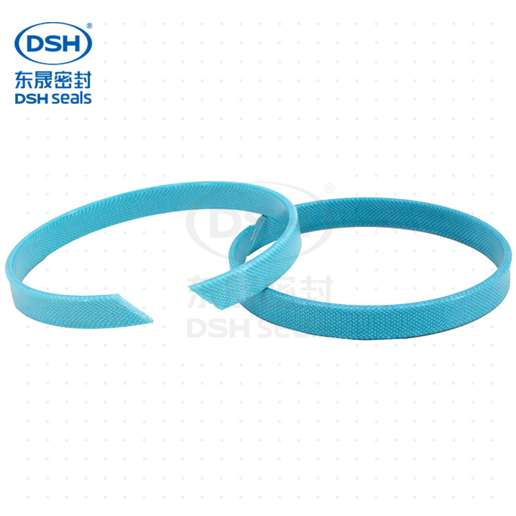 導(dǎo)向帶DST 導(dǎo)向帶DST