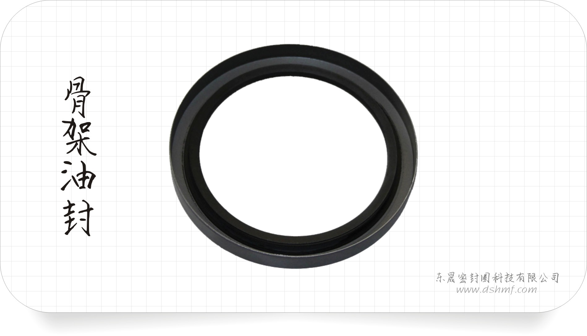 骨架油封 骨架油封