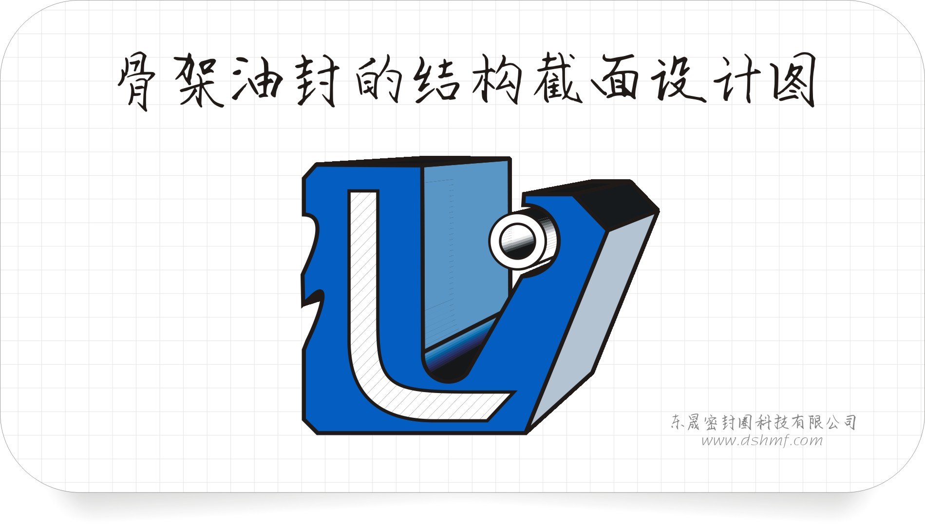 油封截面設(shè)計(jì)3D立體圖2 油封截面設(shè)計(jì)3D立體圖2