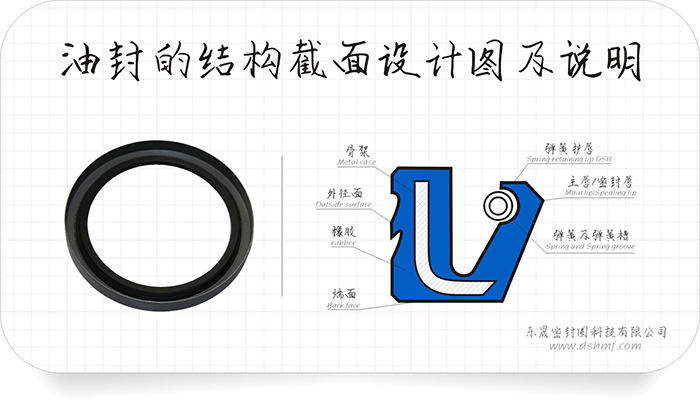 油封的外緣部4種泄漏方式及9條原因分析匯報(bào)！油封的唇口10種泄漏原因及26條分析結(jié)果表！