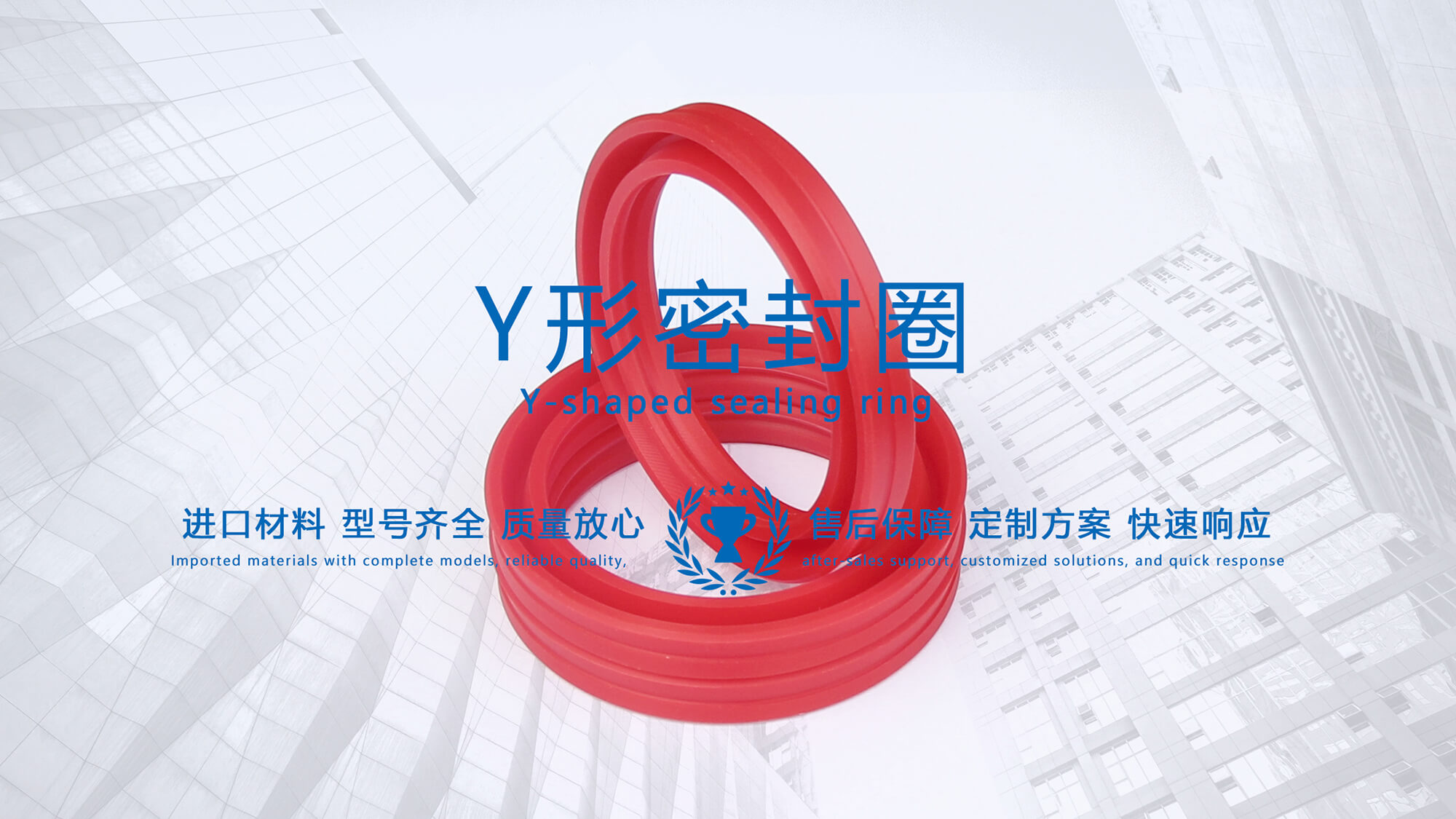 y型密封圈（又Y形密封圈，Y形圈，Y型圖或唇形密封圈，密封件油封膜片） (3)