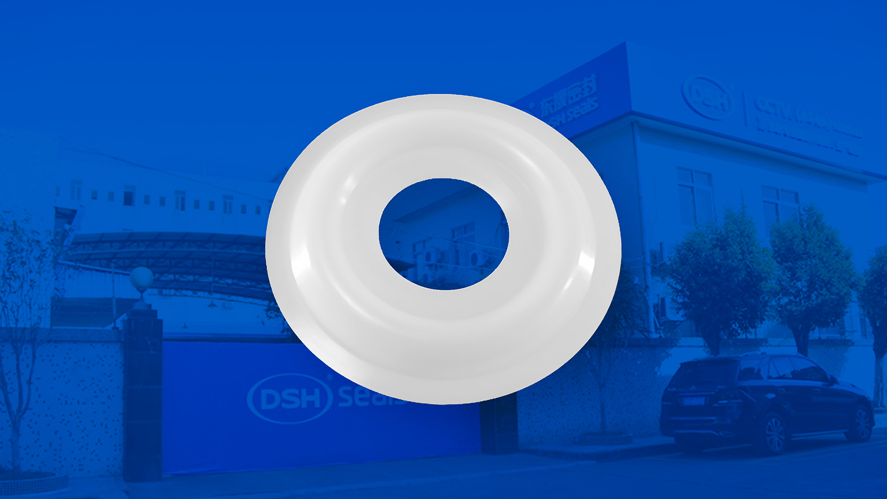 米頓羅計量泵膜片 （又叫隔膜、密封件、密封圈、油封） (2)