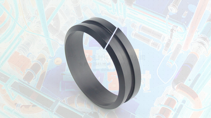 軸用帶刮唇導(dǎo)向環(huán)DFAI 導(dǎo)向套 (6)唇型密封圈.JPG