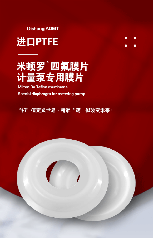 勝佰德氣動(dòng)隔膜泵膜片 (2) 勝佰德氣動(dòng)隔膜泵膜片 (2)