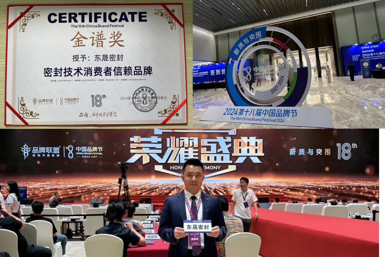東晟密封件閃耀2024第十八屆中國(guó)品牌節(jié)，榮獲密封技術(shù)“金譜獎(jiǎng)”